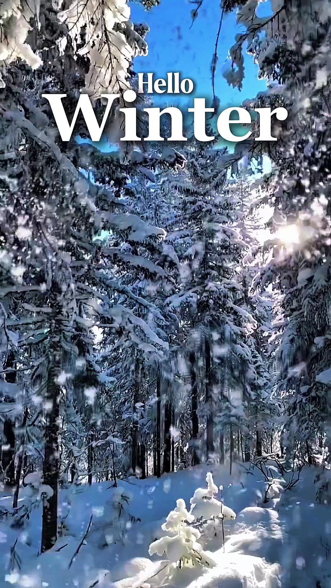 Hola Invierno 2025