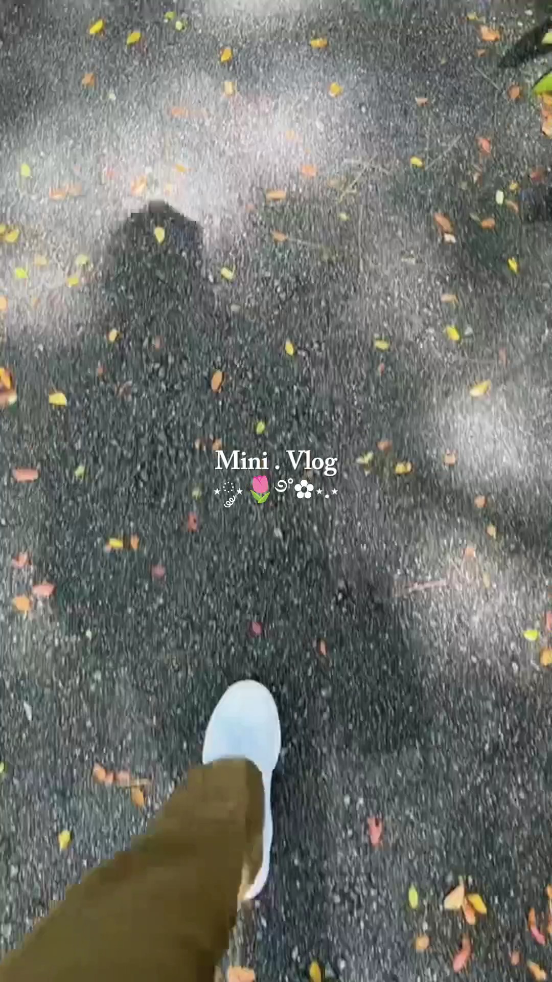 今天迷你vlog