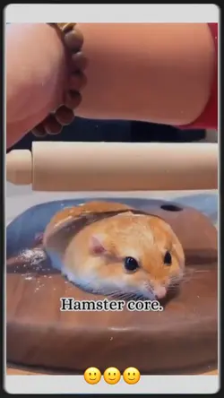 Hamster core