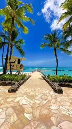Aesthetic 