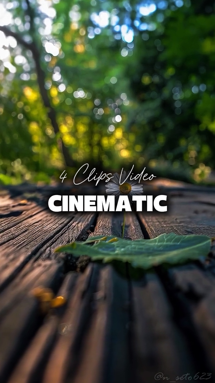 4 CLIPS VIDEO 