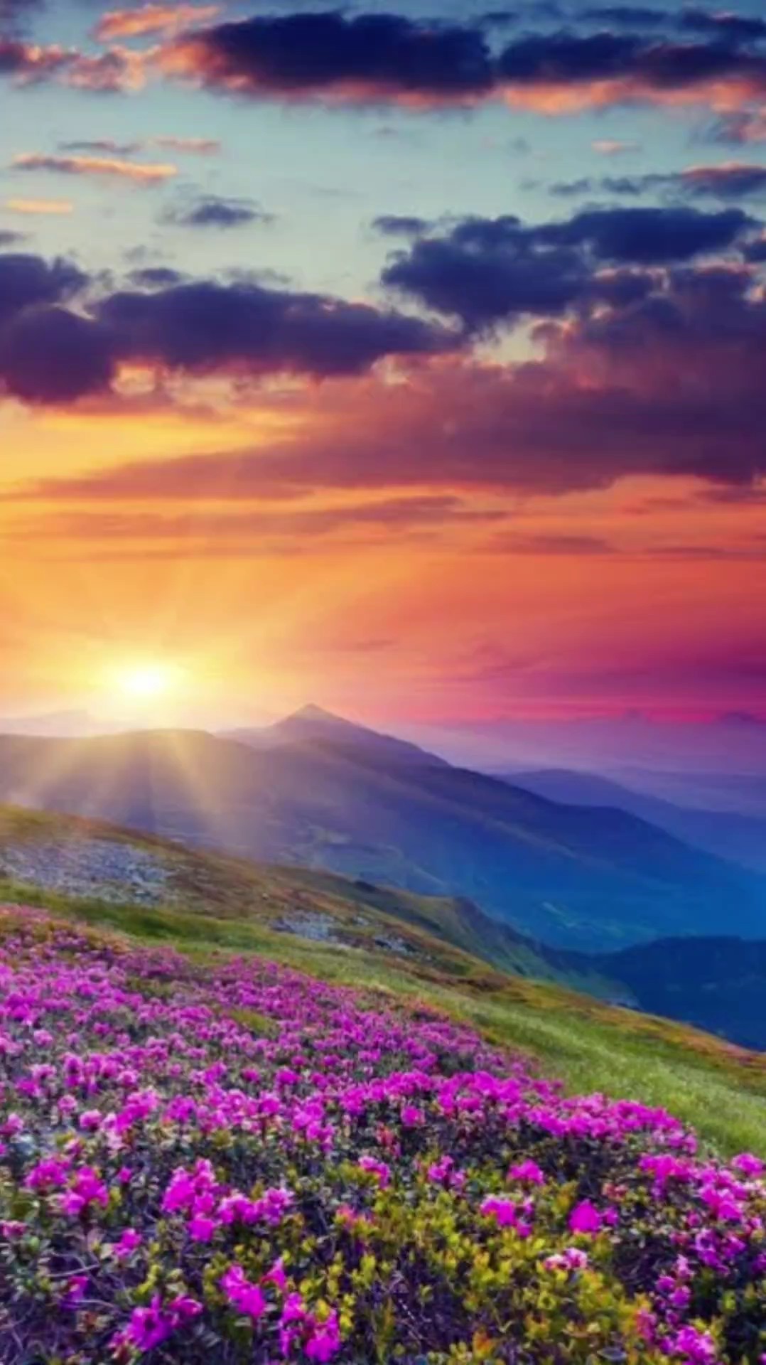 wonderful world 