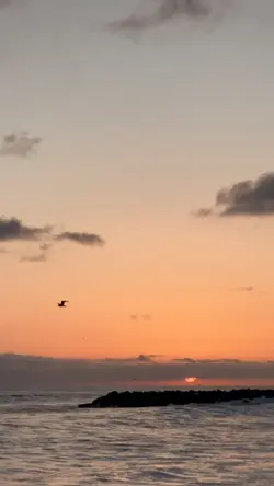 intro