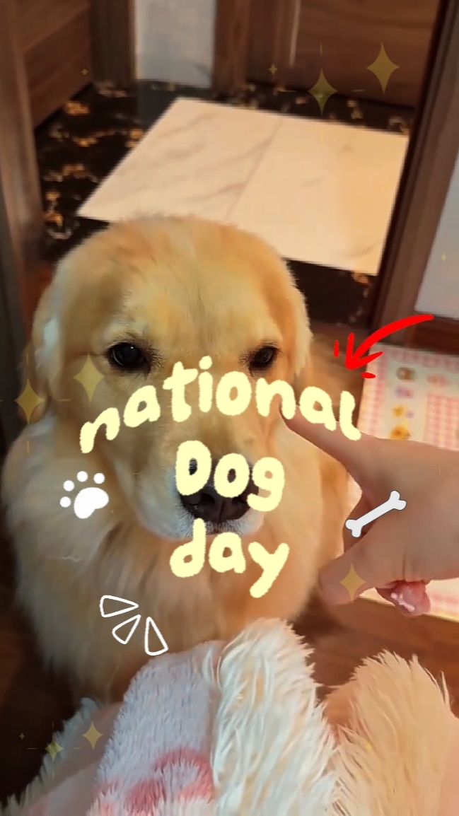 Día del perro [Nacional]