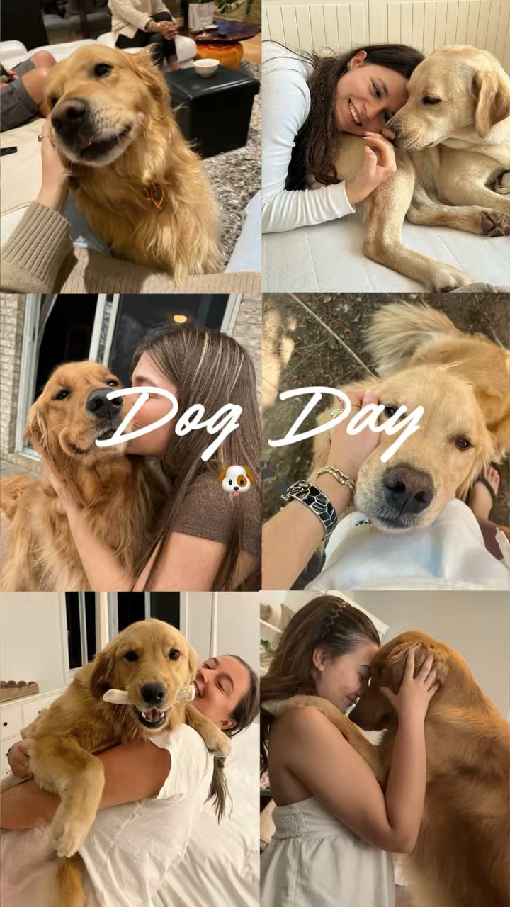 My Dog 🐶🐾