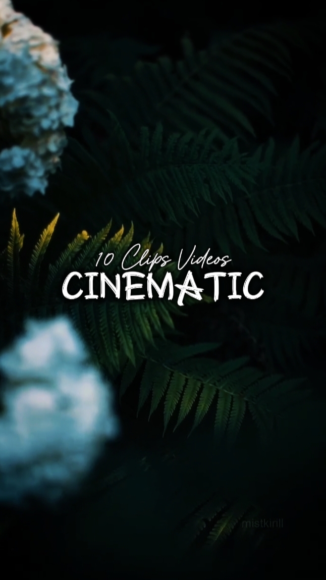 10 Clips Cinematic