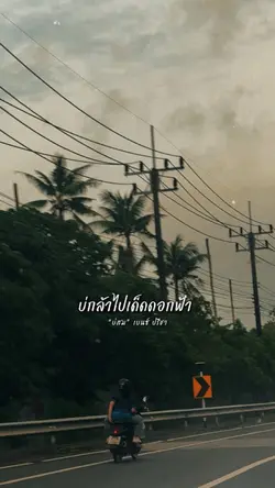 บ่กล้าไปเด็ดดอกฟ้า