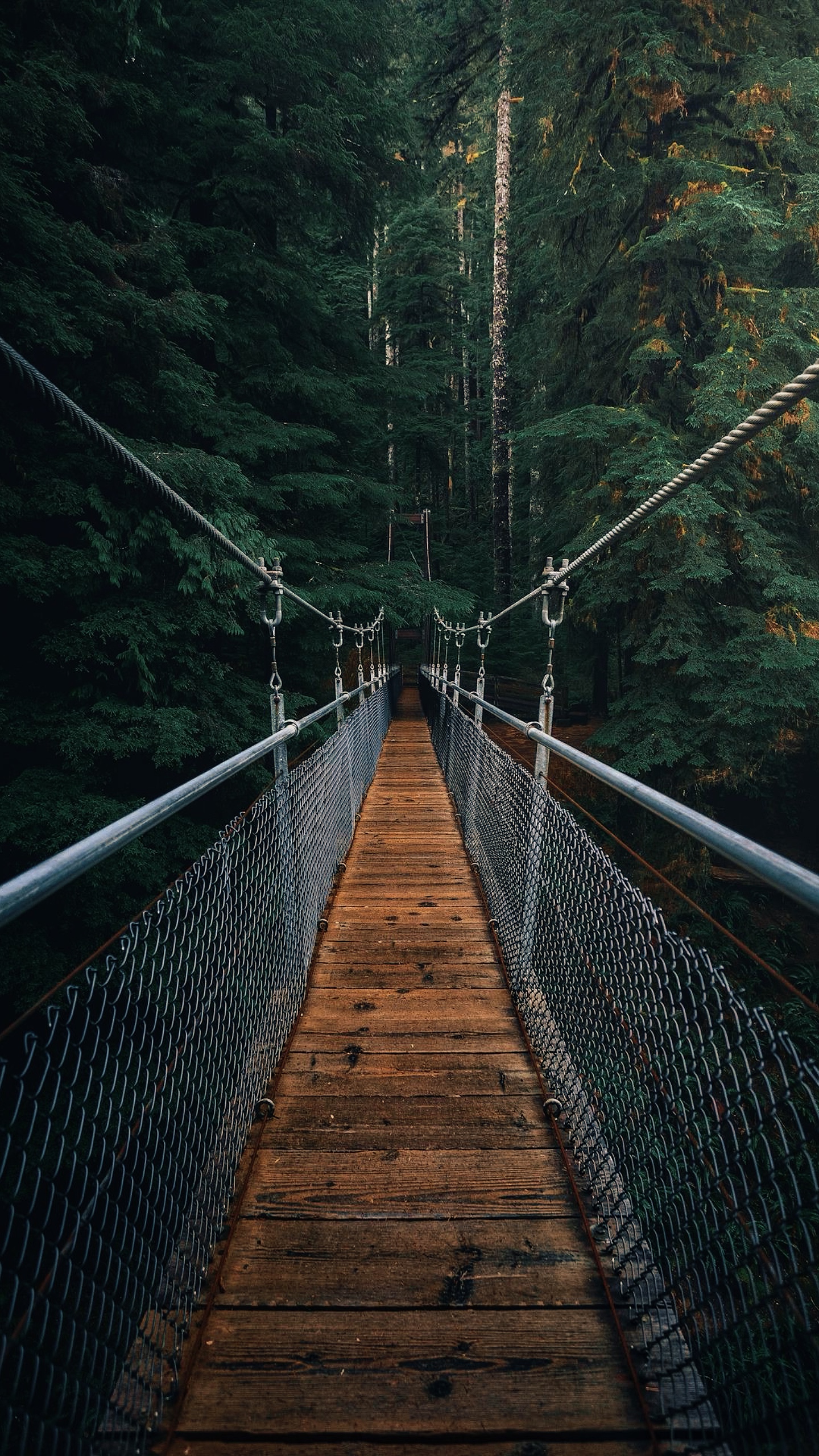 cinematic stories