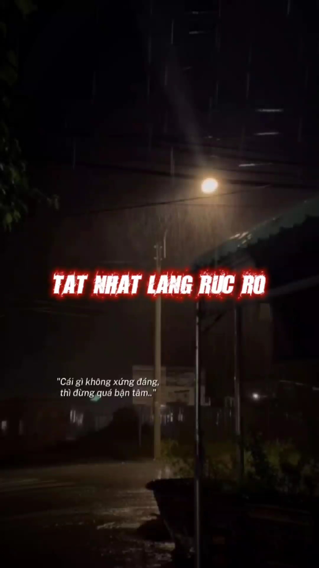 Mẫu 2 video slow