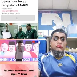 Beras tempatan