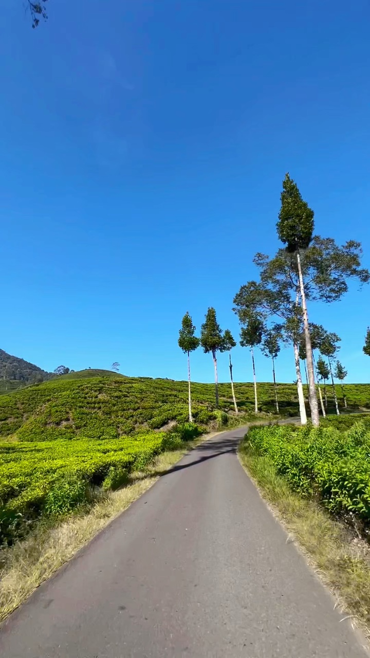 6 videos de viaje