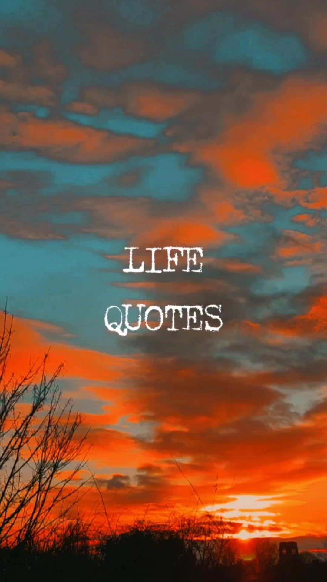 CITAS DE VIDA 