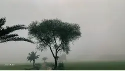 Winter Morning