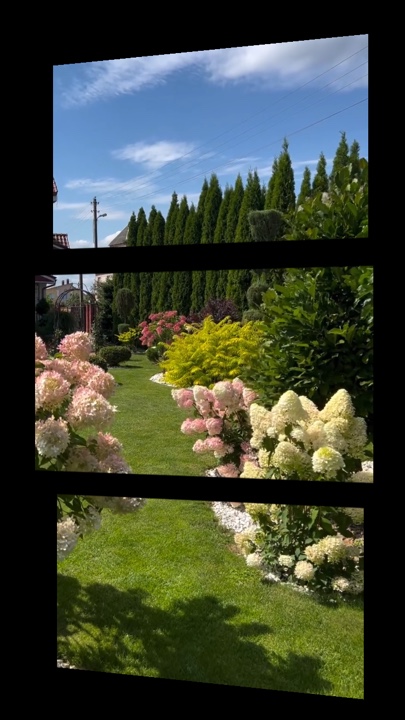 Berkebun