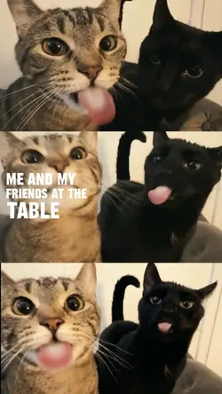 me and my friend