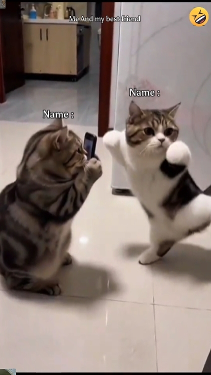 Tendência De Dança Engraçada