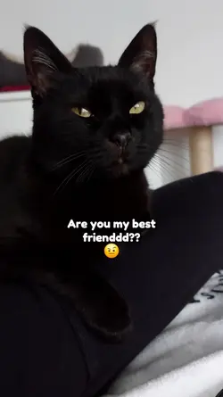 Are you my bf?