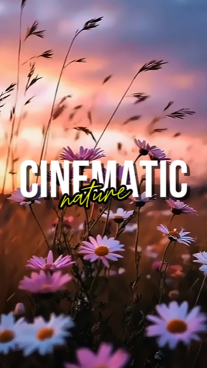CINEMATIC NATURE