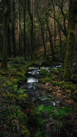 nature vibes