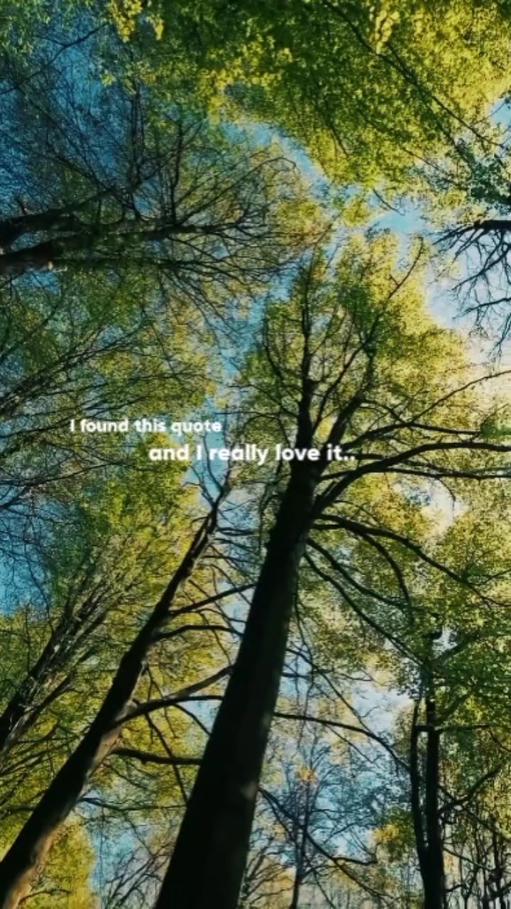 Best Quote