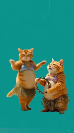 gatos bailando 