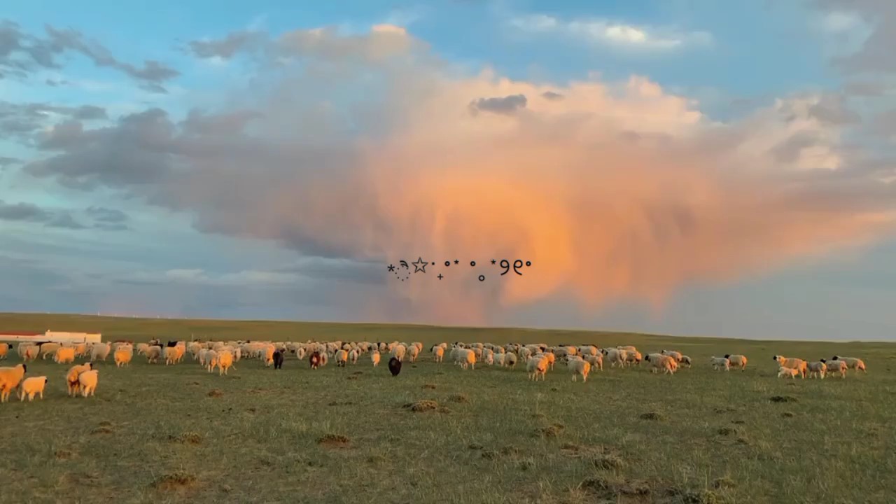 5 video