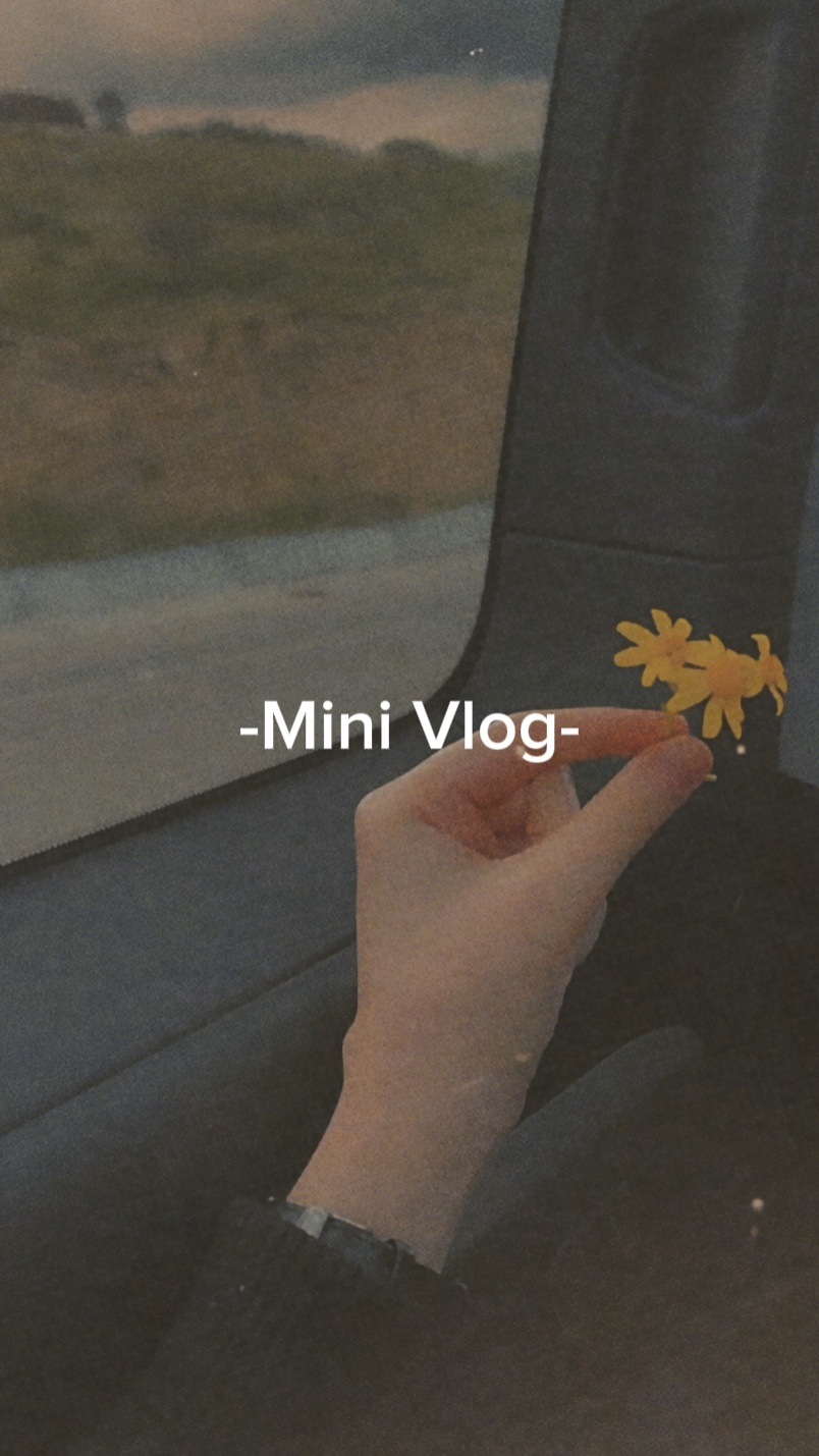 Mini Vlog 