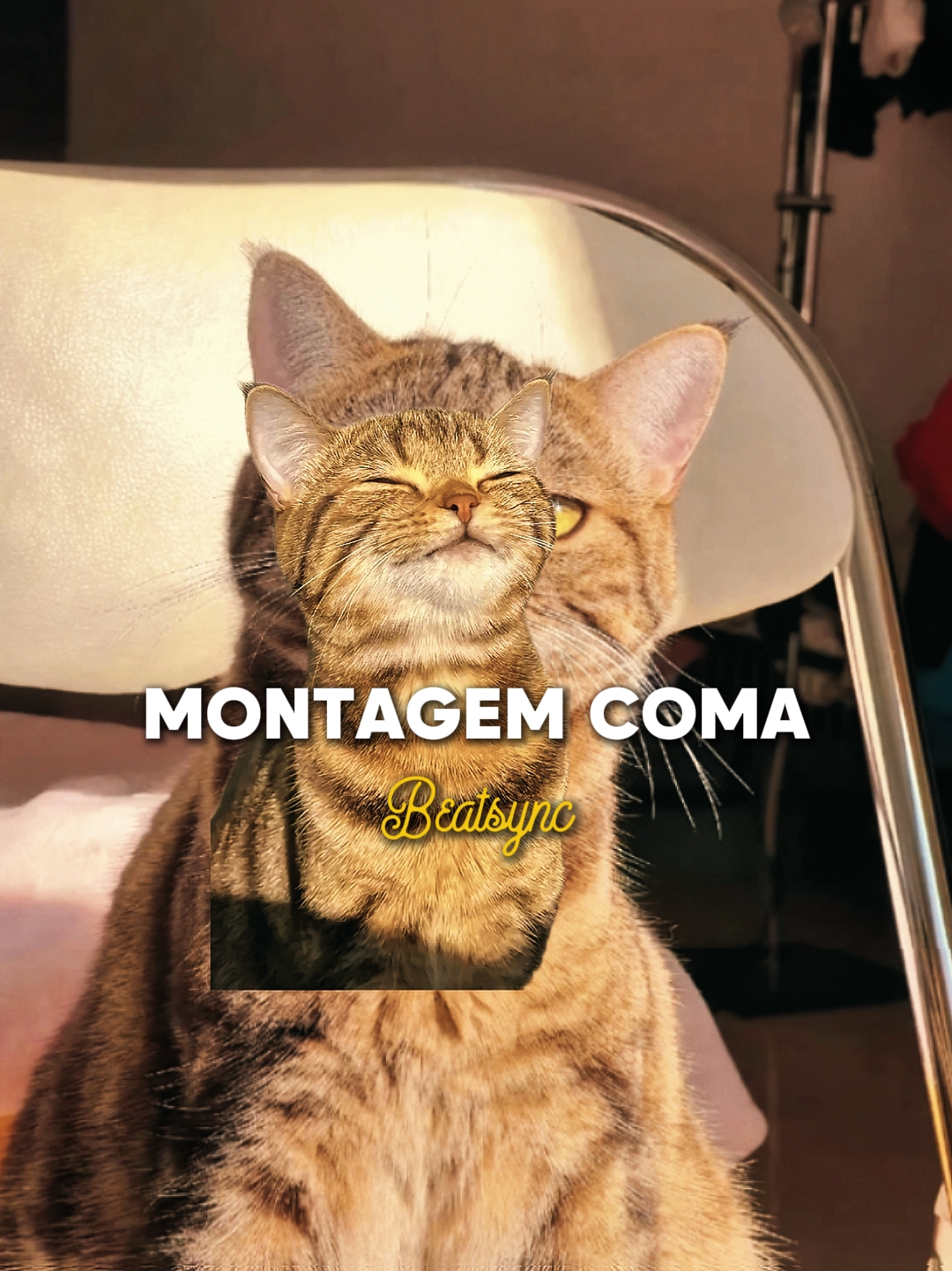 COMA DE MONTAGEM