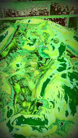 MATCHA TREND NEW