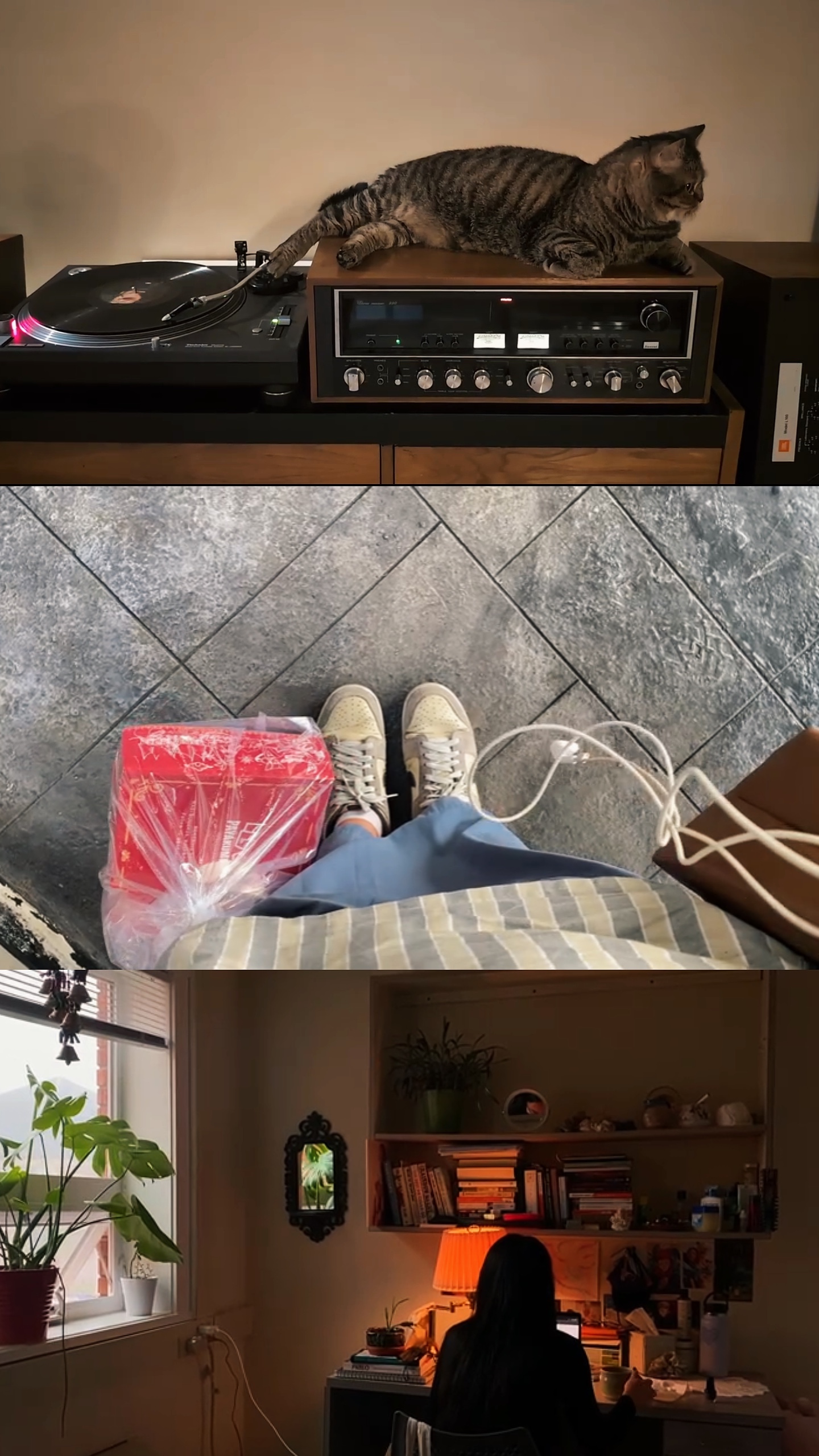 3 Rastervideos