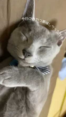 今日のおやつ美味しかったなぁver.1