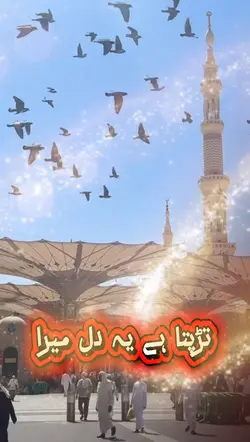 تڑپتا ہے اب یہ دل 