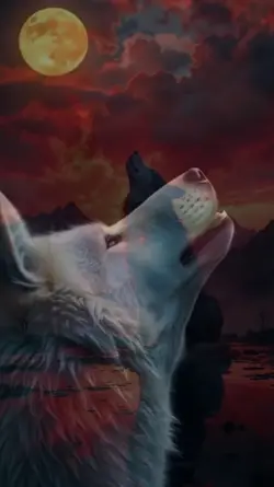 WolfHowling