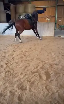 Sandra & Tino fail 🐴
