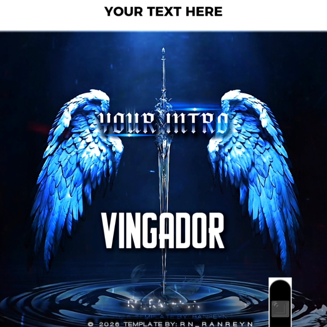 VINGADOR Pro