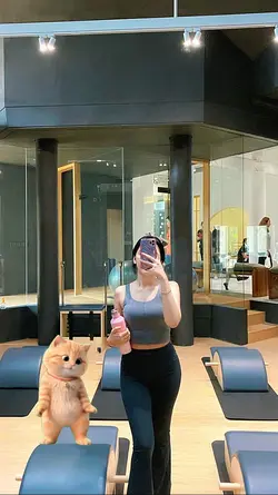 cat dance 