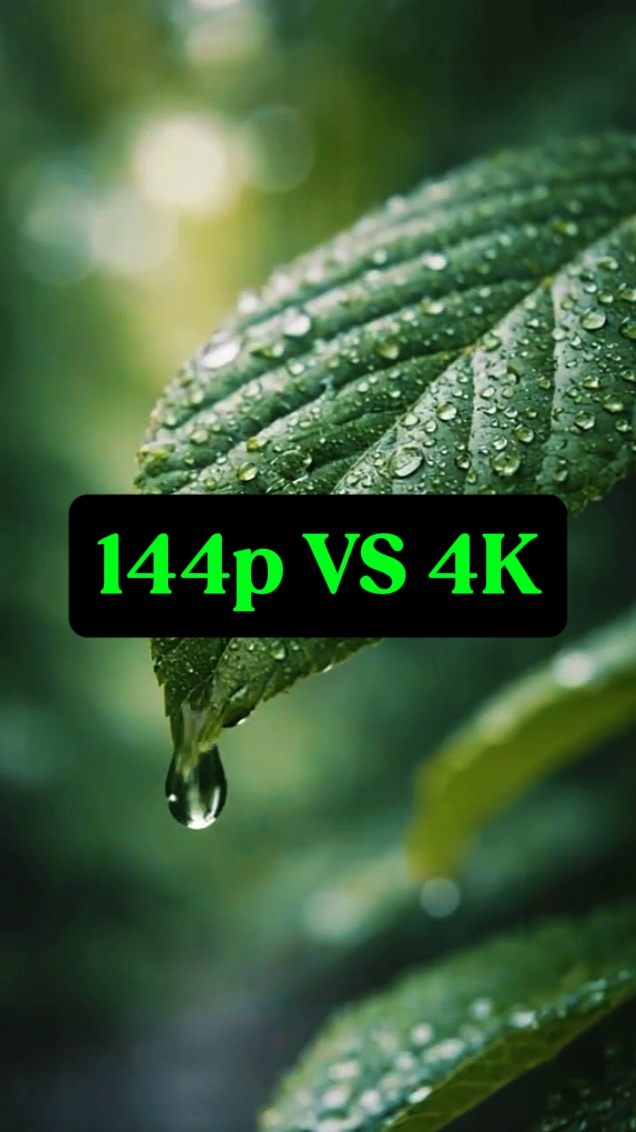 144p vs 4k