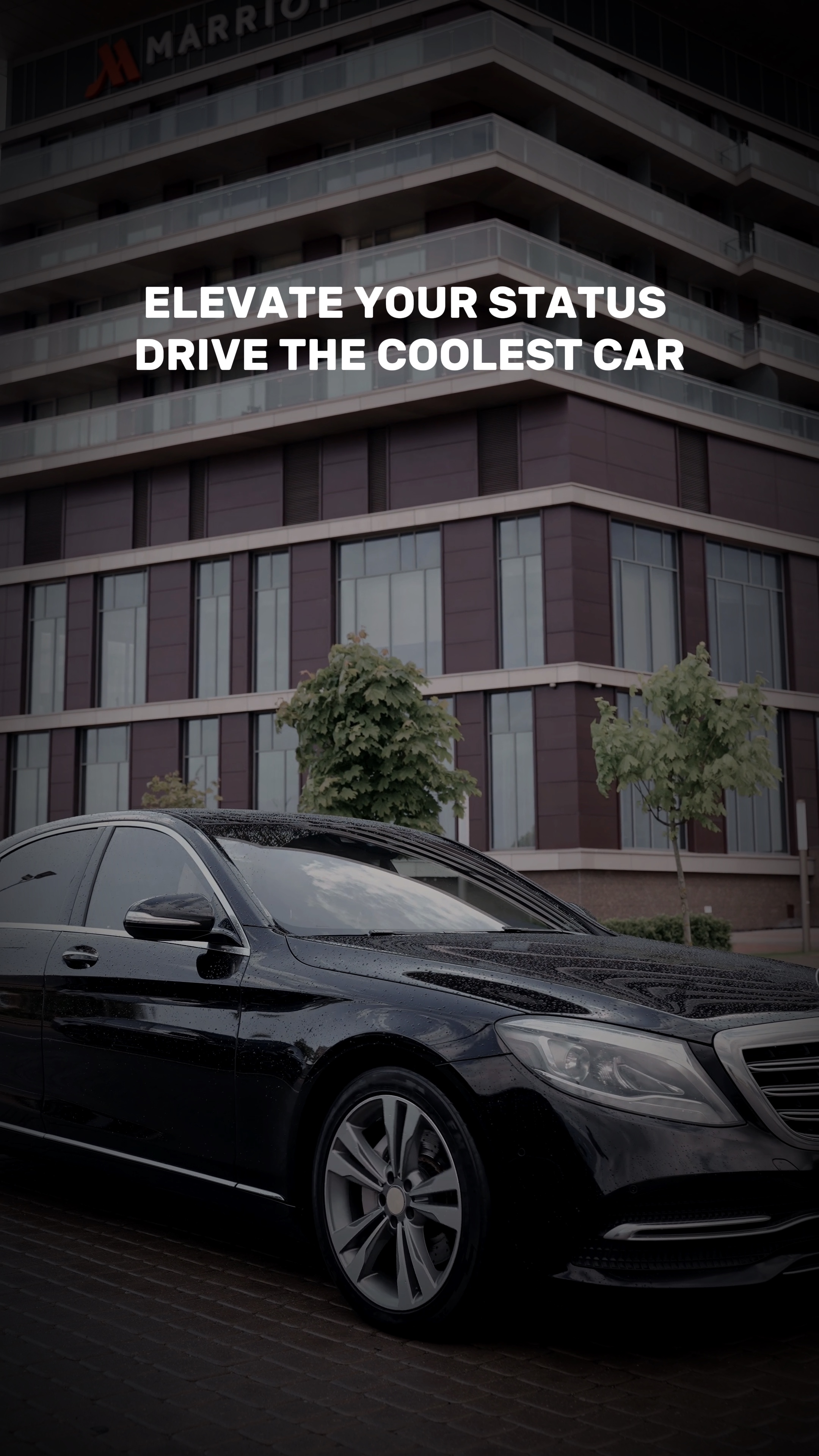 Car Industry Display Beating Match TikTok Style