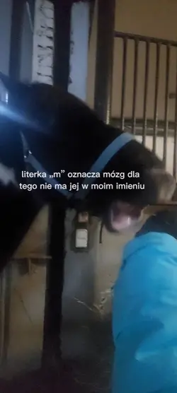 literka „M” = Mózg