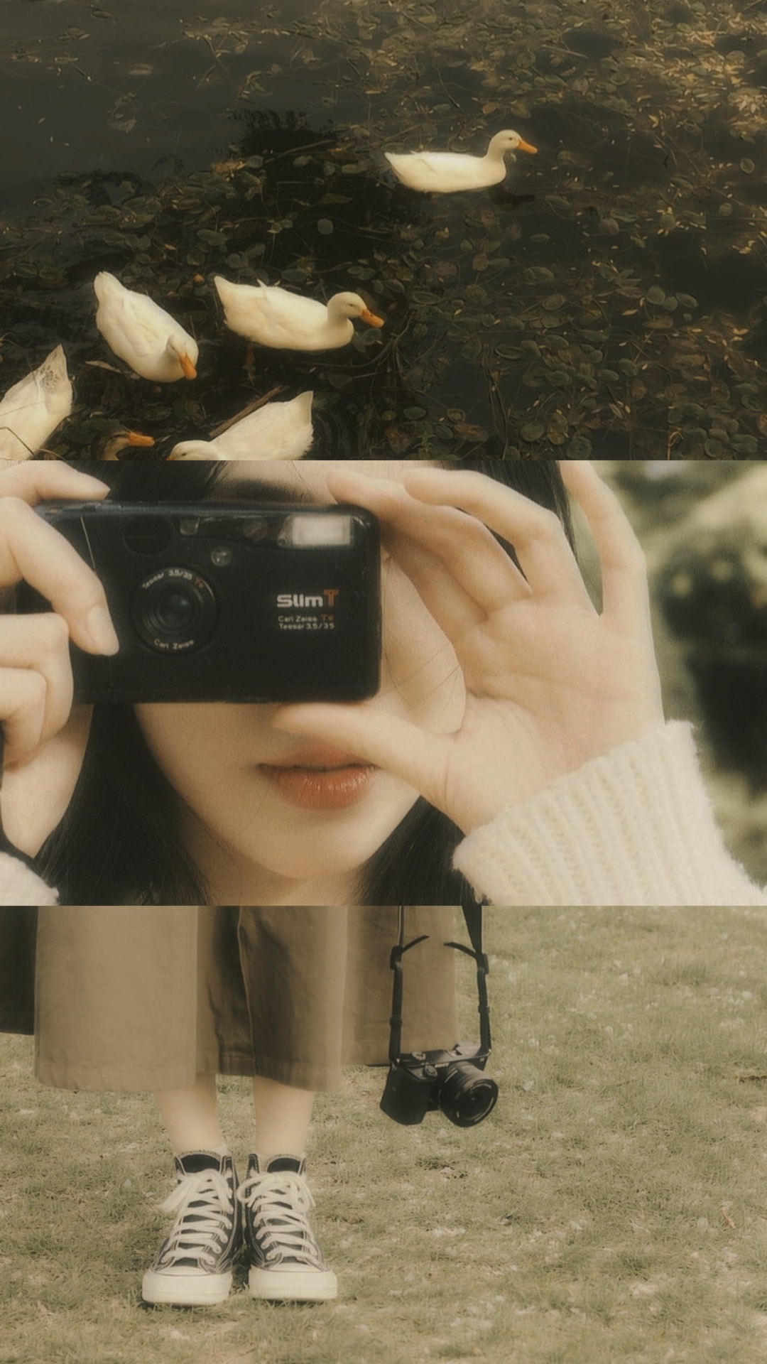 3 pict aesthetic 