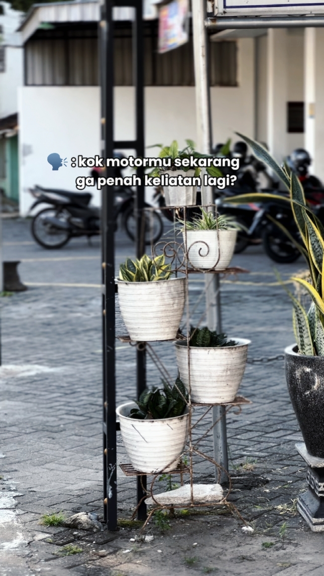TREND MOTORMU