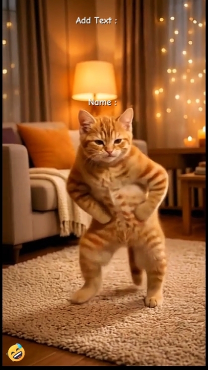 Komik Kedi