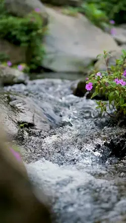 3 Videos Cinematic