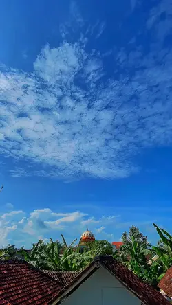 denok