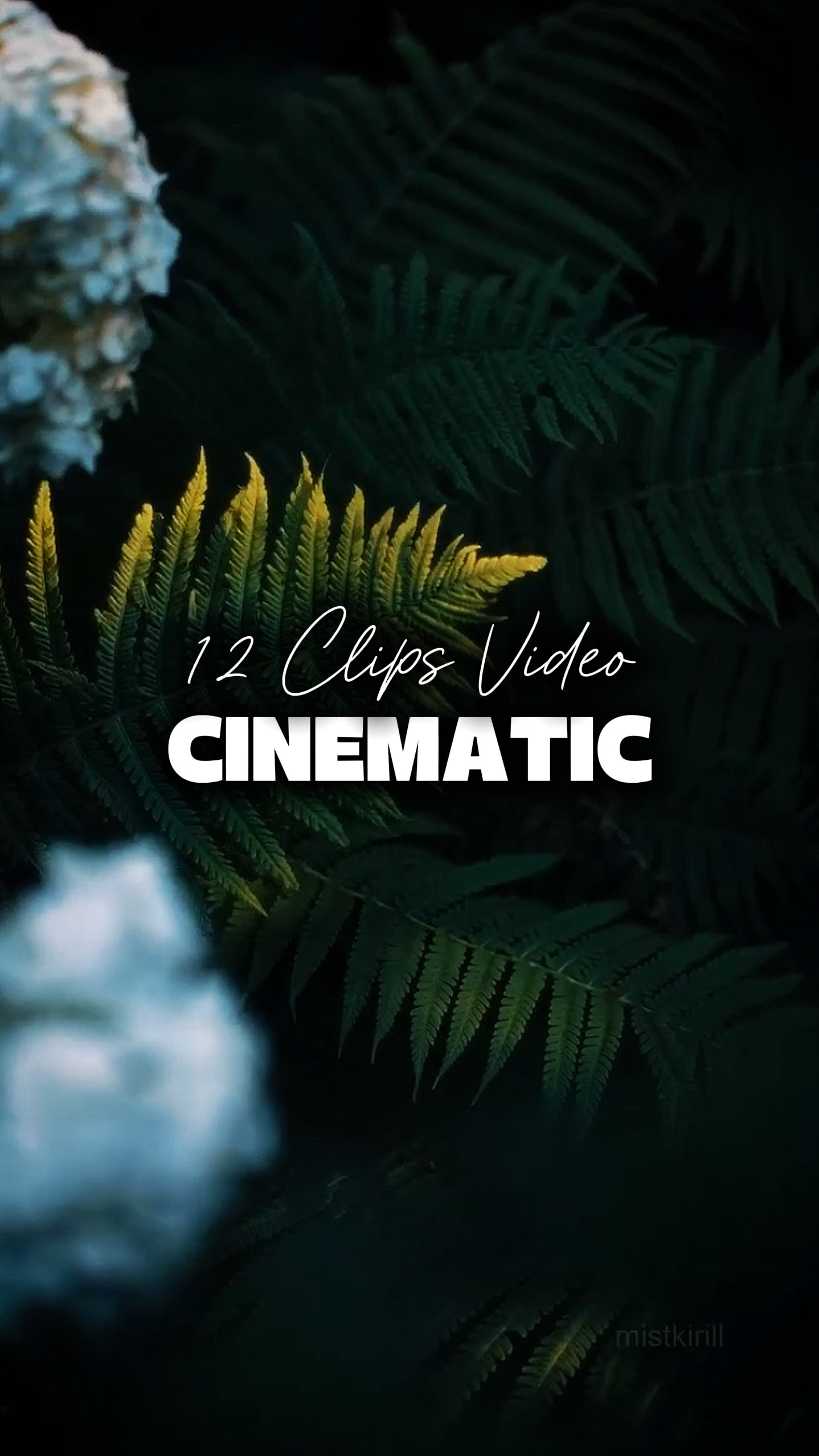 12 CLIPS VIDÉO 