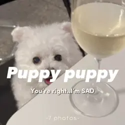 Puppy puppy ๐ถ