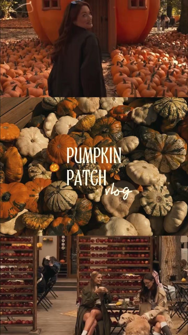 Vlog de parche de calabaza🎃