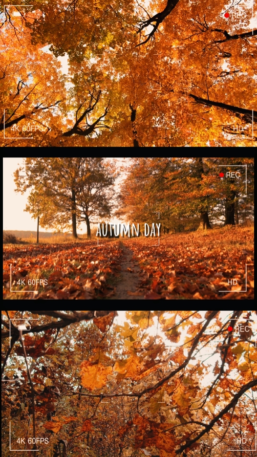 AUTUMN DAY