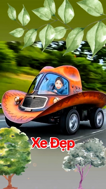 XE NžN