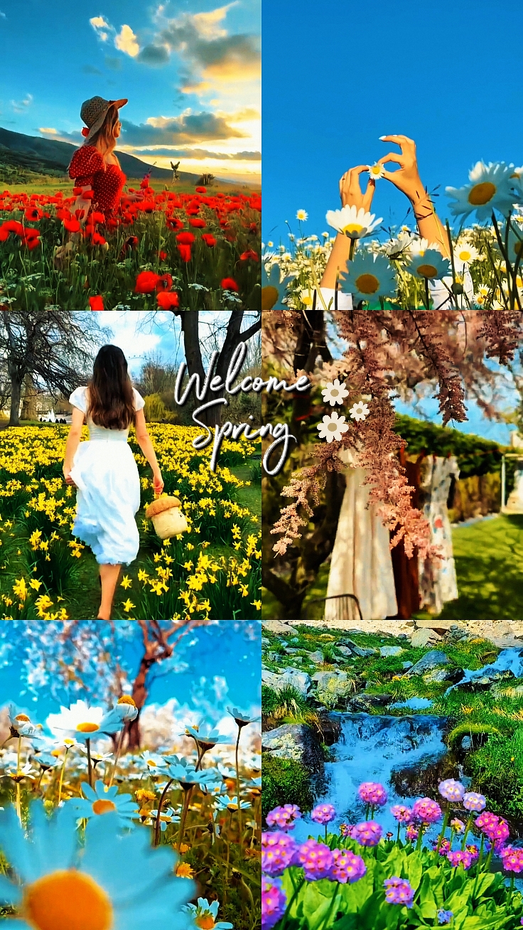 Welcome Spring 2026